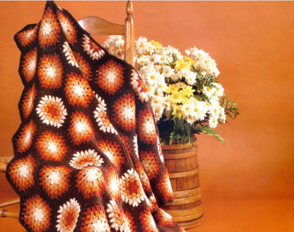 Hexagon Granny Squares Crochet Blanket Pattern